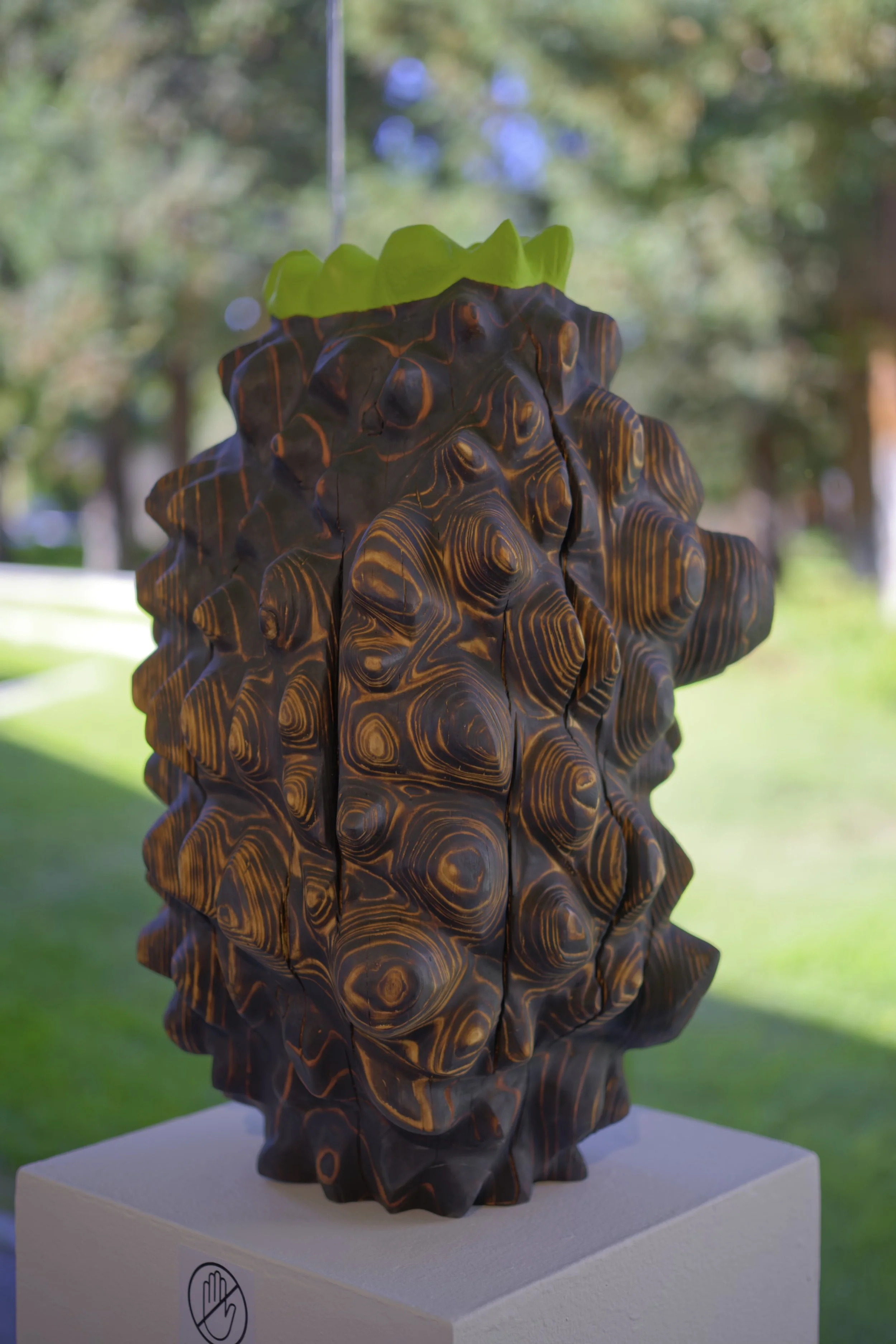 Holding Hope — a charred redwood sculpture.