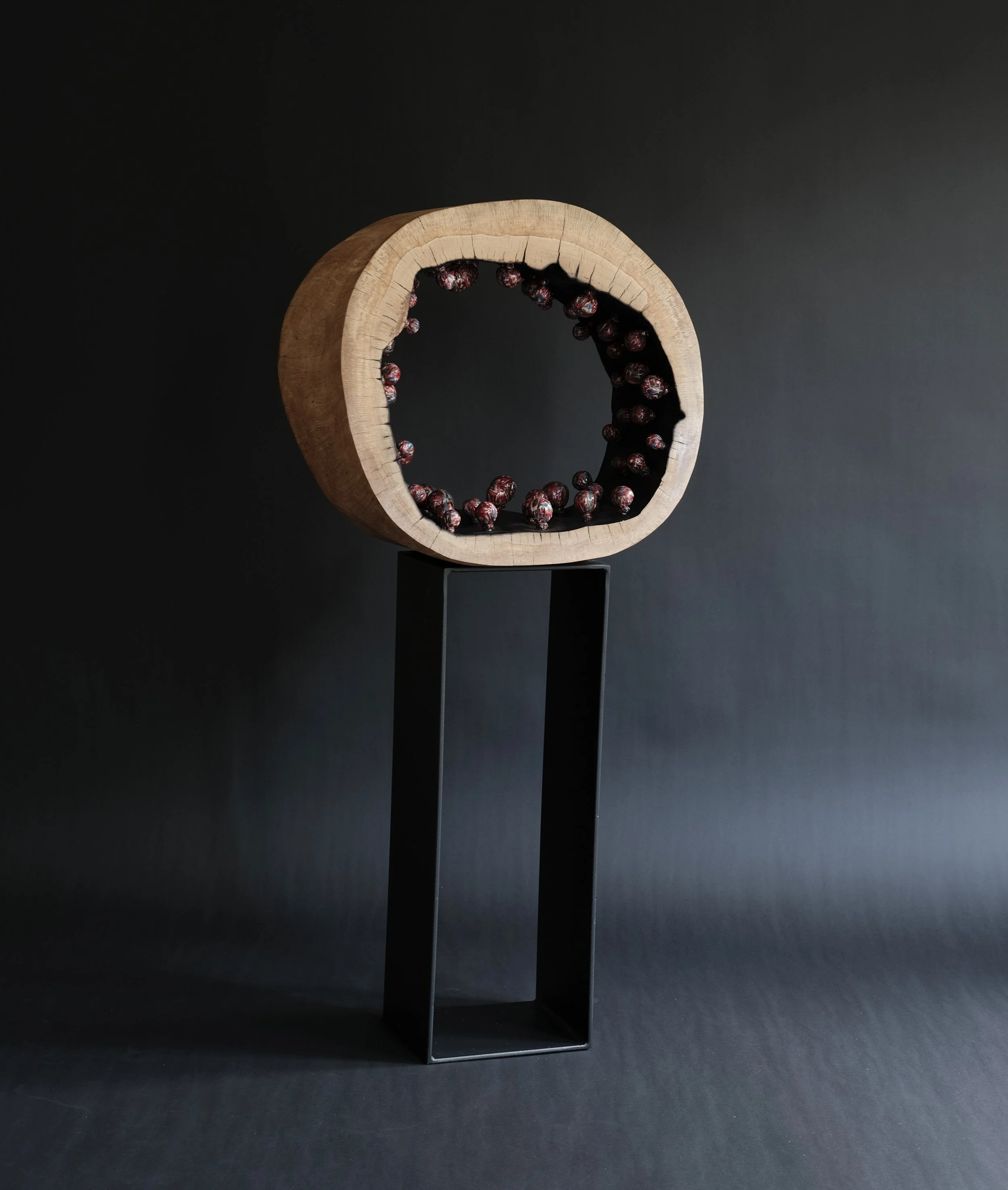 Memories — a charred oak sculpture with sari fabric.
