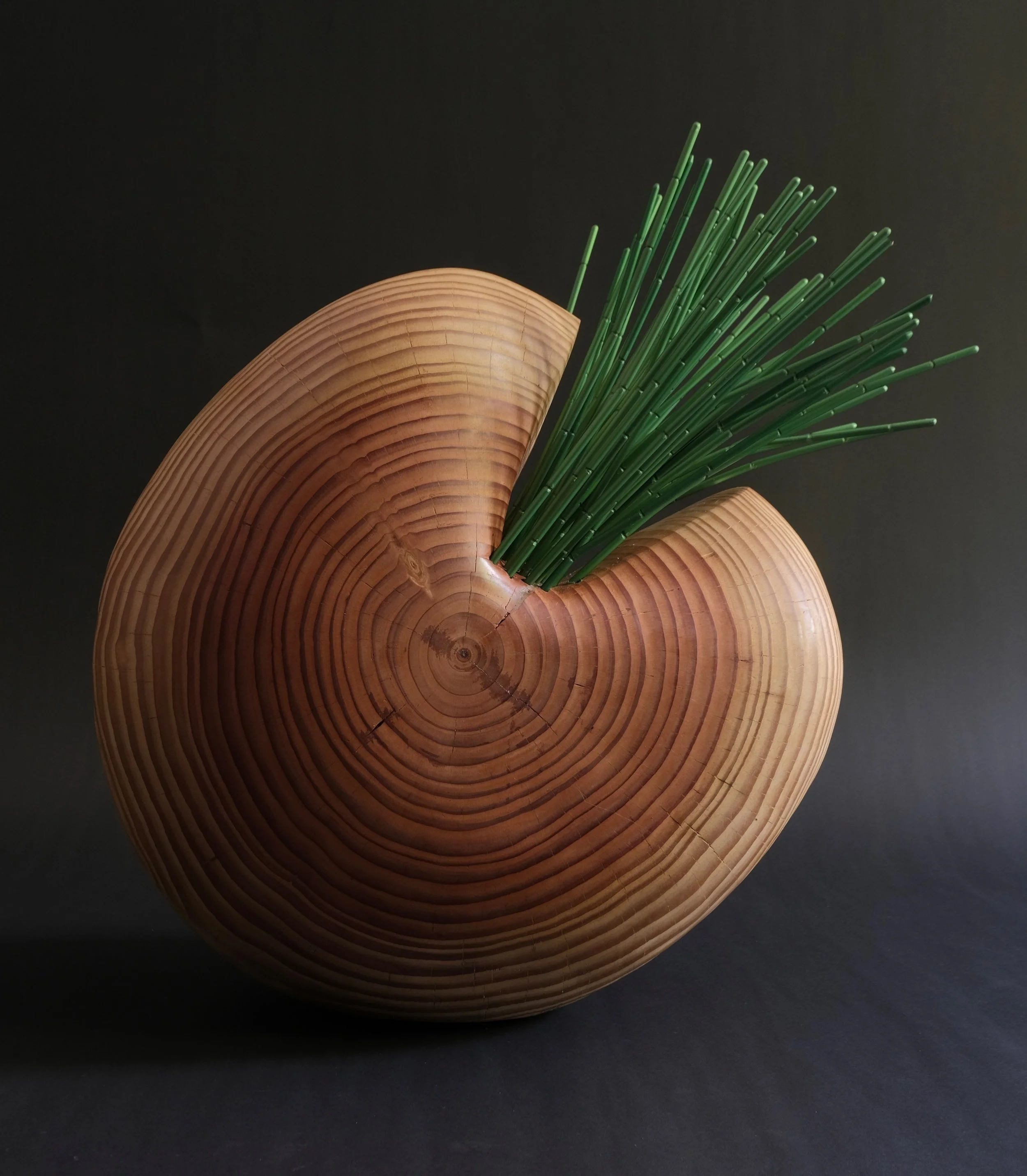 Reeds — douglas fir stems with anodized aluminum.